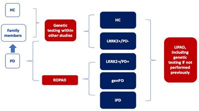 LIPAD (LRRK2/Luebeck International Parkinson's Disease) Study Protocol: Deep Phenotyping of an International Genetic Cohort